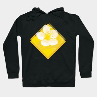 Hoa Mai Yellow Apricot Blossom Vietnam Lunar New Year Hoodie